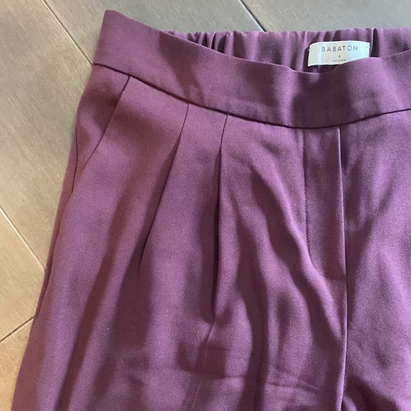 Aritzia Babaton Cohen Pants - Picture 4 of 5